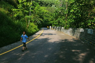 登山路上