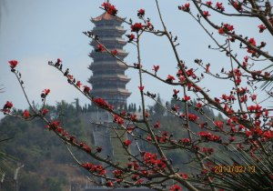 文山旅游十大景点(文山州旅游景点排行榜)