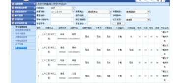 三江学院毕业论文分数