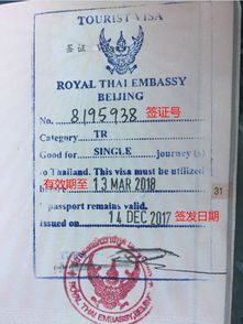 如何办理泰国旅游签证(泰国旅游签证怎么办理)