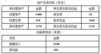 如何运用财务报表进行企业分析与估价