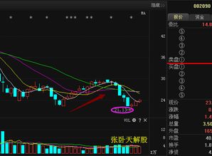 金智科技后市如何操作？