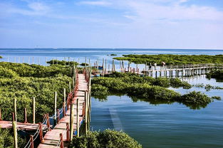 北海哪里好玩 北海旅游景点大全