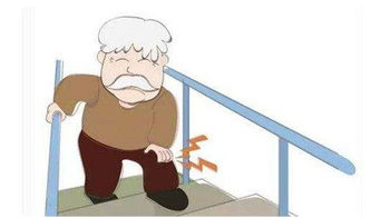 老人关节炎腿疼怎么办 4个方法有效预防关节炎