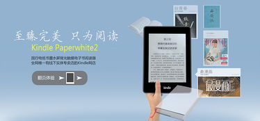 Kindle电纸书 第一次发表