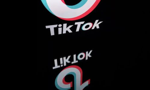 TikTok海外公司在哪_tiktok本地代理设置