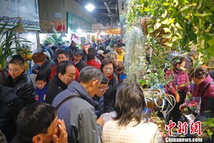 上海市中心最大的花鸟市场 曹家渡花鸟市场26日关闭 