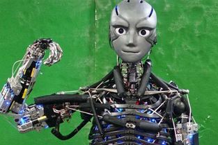 全球最先进五大机器人,或将替代人类工作,你怕吗