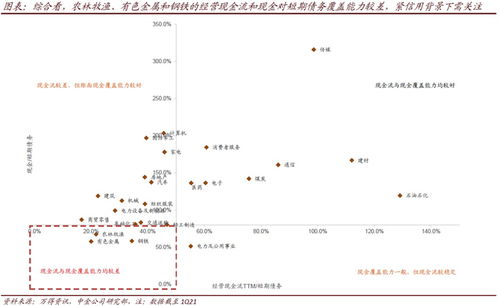 rwa板块的龙头币