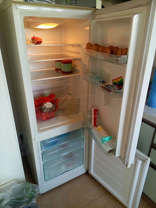 冰箱内存放食物的量占多少比较省电