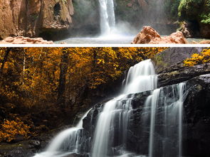 高清唯美瀑布林涧山水自然风景背景图图片设计素材 模板下载 167.94MB 其他大全 