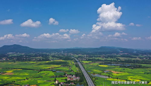 生育 今年适合备孕,明年适合求财的八字