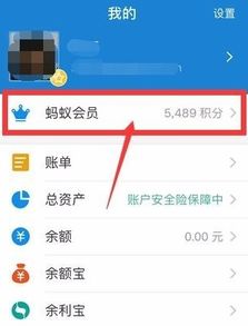 支付宝蚂蚁定期理财到期了赎回中是什么意思?