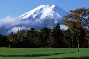 关于富士山樱花的诗句
