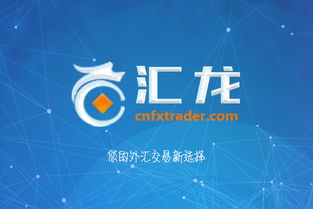 汇龙网 外汇模拟交易软件 