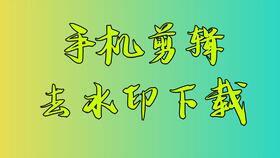 视频去水印的手机软件批量处理去重消重去水印去logo软件 n