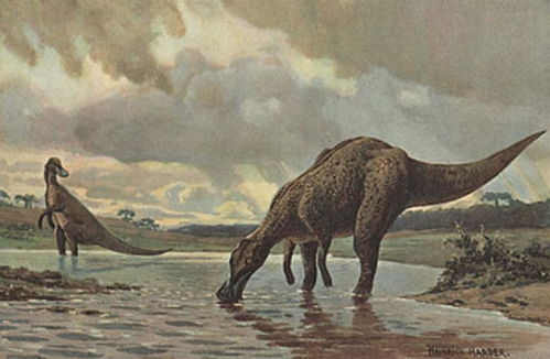 起床 量体温了 麻烦给七千万年前的恐龙发条信息