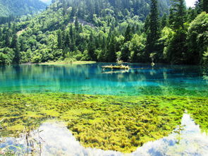 夏天去九寨沟注意事项,夏天去九寨沟安全吗