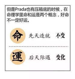 图解漫画版 周易 ,五分钟让你看懂神秘的算命与八字 超棒