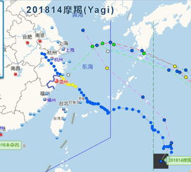 防御今年第14号台风 摩羯 