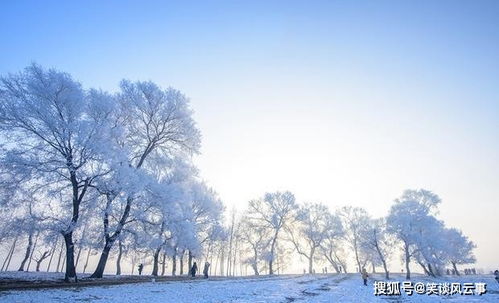 国内适合冬天去的旅游地方(中国适合冬季旅游的11个地方)