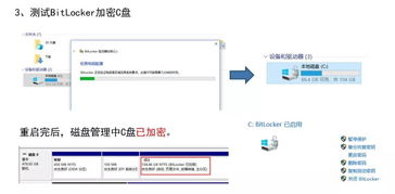 pm981a怎么装win10系统