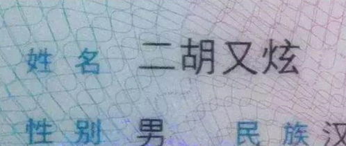 爸妈给孩子取的 奇葩 名字,班主任看了哭笑不得,让人不得不服