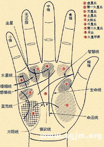 手相歌诀