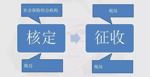 确定了 明确不追缴企业历史社保欠费,最严社保开征,黑名单来了