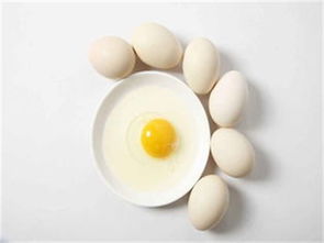 高血压可以吃鸡蛋吗