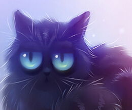 做梦梦见蓝色的猫是什么意思 周公解梦 