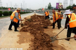 郑州街头黄泥洒数千米 累哭环卫工 