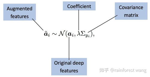 函数查重的数据表示：从入门到精通