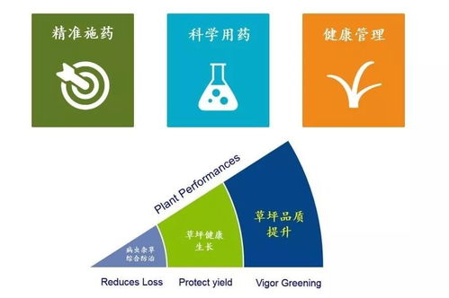 精准施药,保证最佳效果 下 专业喷施设备和技能,农药剂型和应用