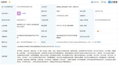 国电英力特宁东能源化工集团股份有限公司和石嘴山英力特化工公司那个好