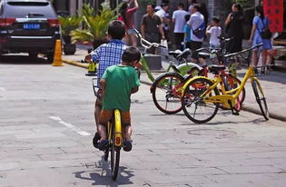 西安频现儿童骑单车 12岁以下 禁骑 难保证 