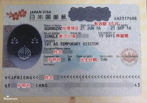 日本,签证,自由
