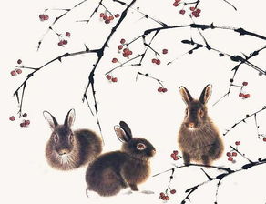 2011年出生属兔小孩天乙贵人是谁(2011年出生的兔孩子是什么命)
