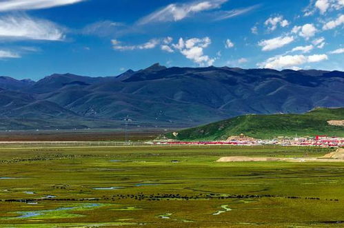 中国唯一以黄河命名的地方 甘南最美的绿色在这