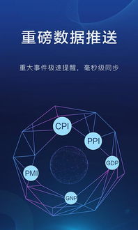 富通环球投资是什么公司？