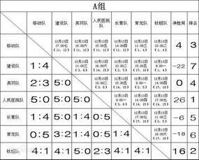 有六个队参加的羽毛球单循环比赛对阵表如何设计 (羽毛球比赛表怎么做的图片)