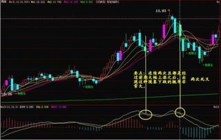 600602还能买进吗。第一次买，想买这个。不知道600050怎么样