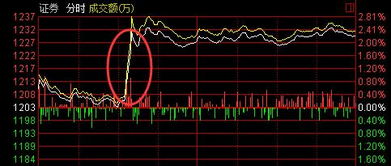 证金公司是给证券公司提供流动性资金？还是可以直接进行买卖股票的国有公司呢？ 融资融股是什么意思？