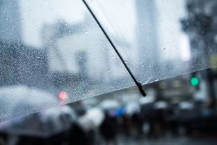 摄影教程丨雨天并非坏天气,教你完美应对雨天拍摄