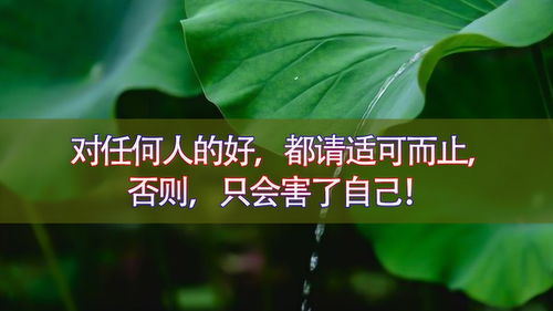 励志心灵鸡汤美文_中年励志鸡汤？