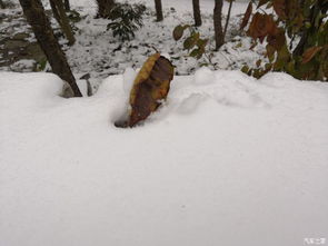 梦回 雪中的古城