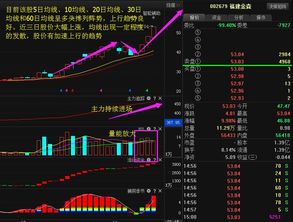 福建金森股票明天会上涨吗