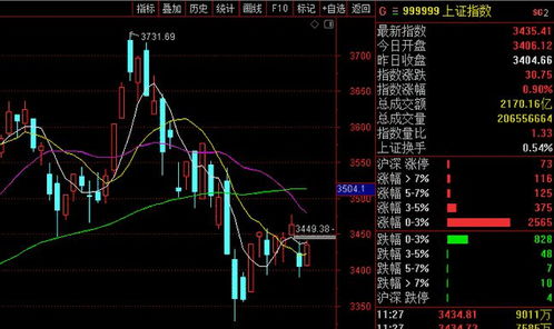 股票冲高下跌,涨停后回落几天又涨停