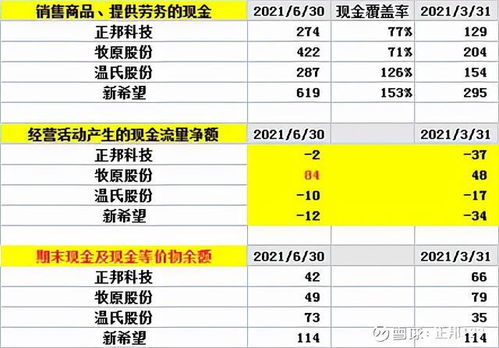 财务报表分析论文查重太高