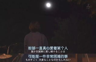 你是我只敢在夜里想起的人 